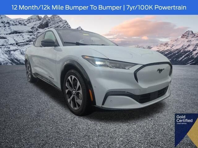 2023 Ford Mustang Mach-E Premium — photo 1 of 1