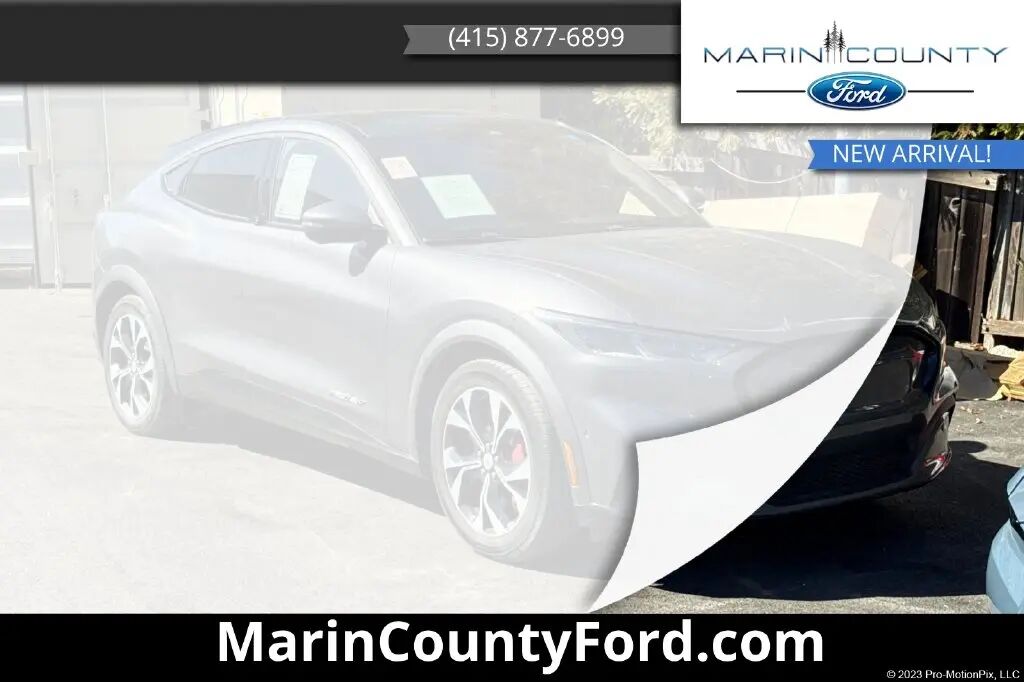 2021 Ford Mustang Mach-E Premium — photo 1 of 13