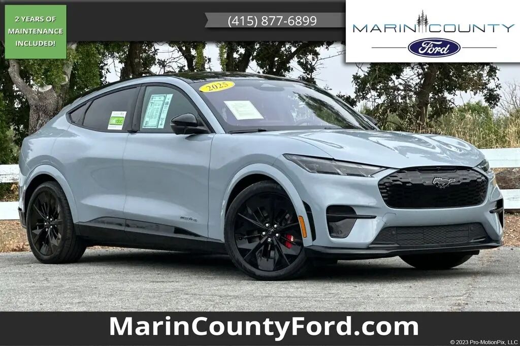 2025 Ford Mustang Mach-E GT — photo 1 of 24