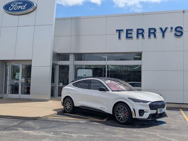 2021 Ford Mustang Mach-E GT — photo 1 of 1