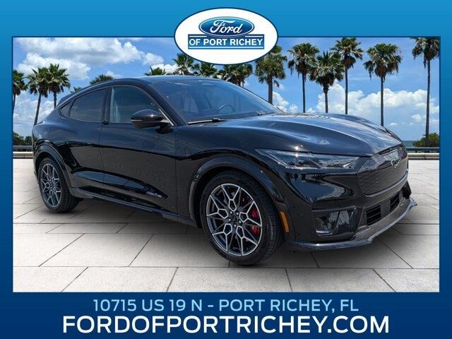 2024 Ford Mustang Mach-E GT — photo 1 of 26