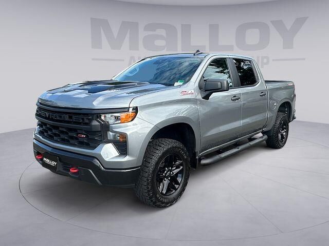 2024 Chevrolet Silverado 1500 Custom Trail Boss — photo 1 of 13