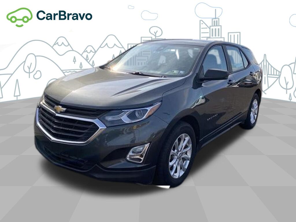 2020 Chevrolet Equinox LS — photo 1 of 7