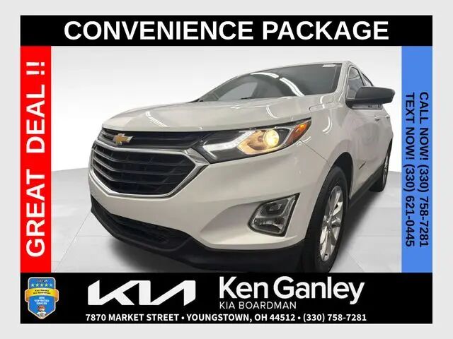 2020 Chevrolet Equinox LS — photo 1 of 22