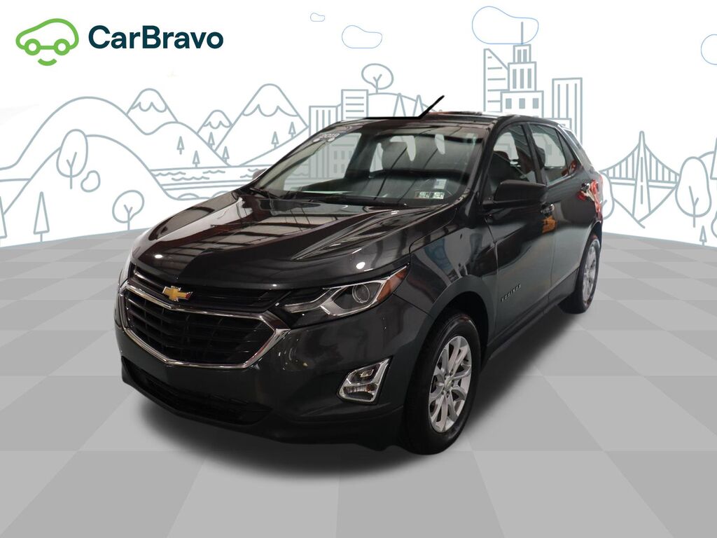2019 Chevrolet Equinox LS — photo 1 of 6