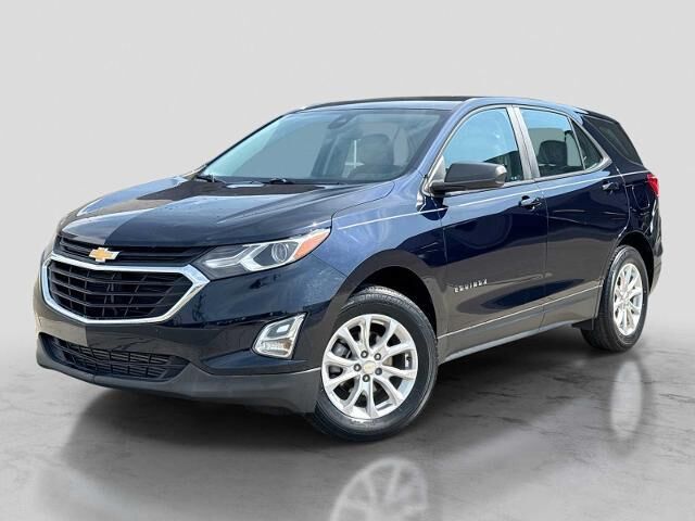 2020 Chevrolet Equinox LS — photo 1 of 13