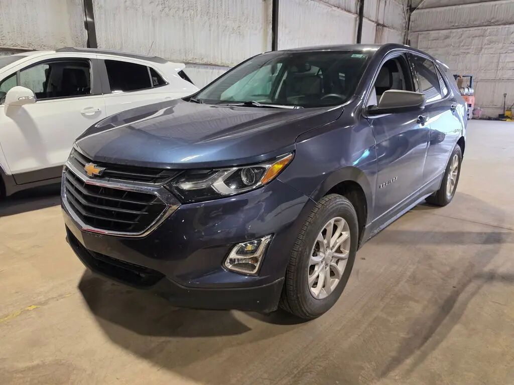 2019 Chevrolet Equinox LS — photo 1 of 50