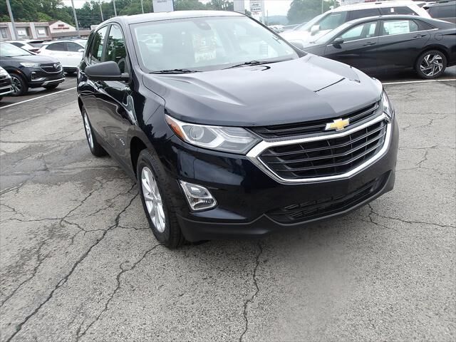 2020 Chevrolet Equinox LS — photo 1 of 10