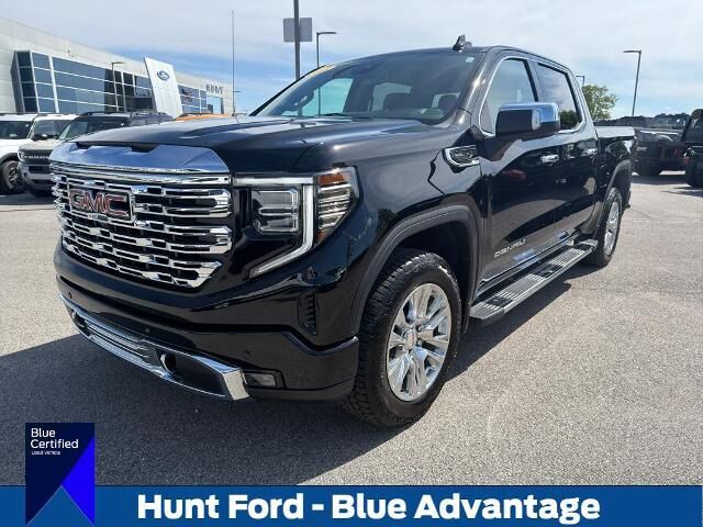 2025 GMC Sierra 1500 Denali — photo 1 of 13