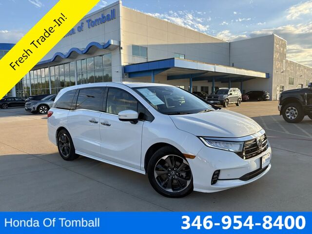 2024 Honda Odyssey Elite