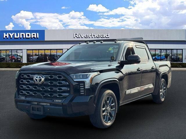 2022 Toyota Tundra Platinum — photo 1 of 13