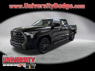 2022 Toyota Tundra 4WD Platinum