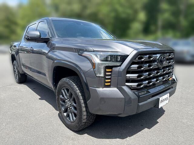 2022 Toyota Tundra Platinum — photo 1 of 26