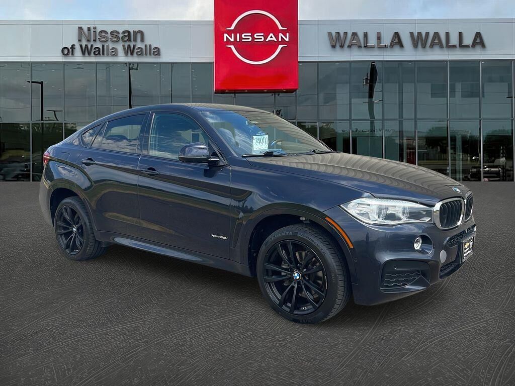 2018 BMW X6 xDrive35i — photo 1 of 39