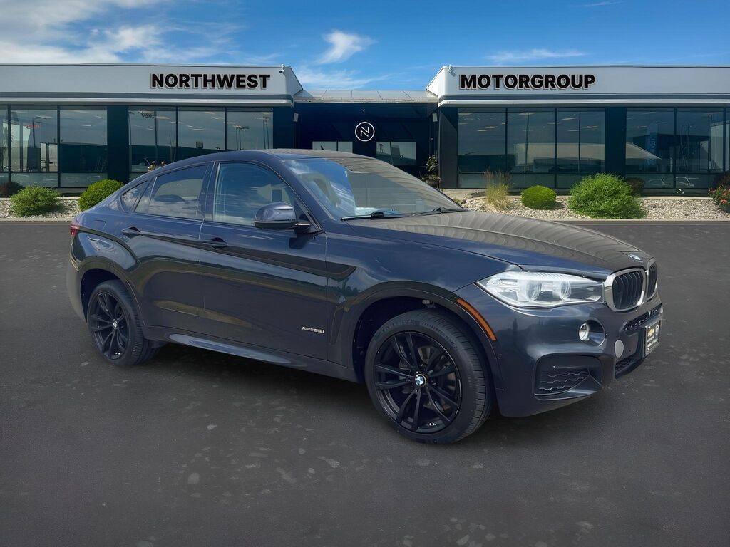 2018 BMW X6 xDrive35i — photo 1 of 13
