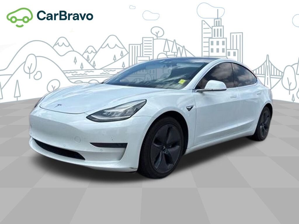 2020 Tesla Model 3 Standard Range Plus Rear-Wheel — photo 1 of 4