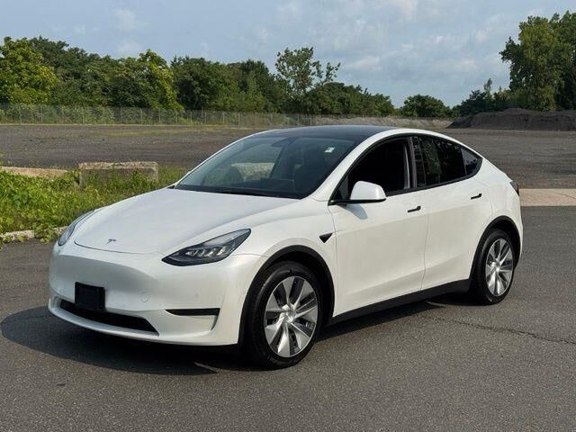 2021 Tesla Model Y Long Range — photo 1 of 26