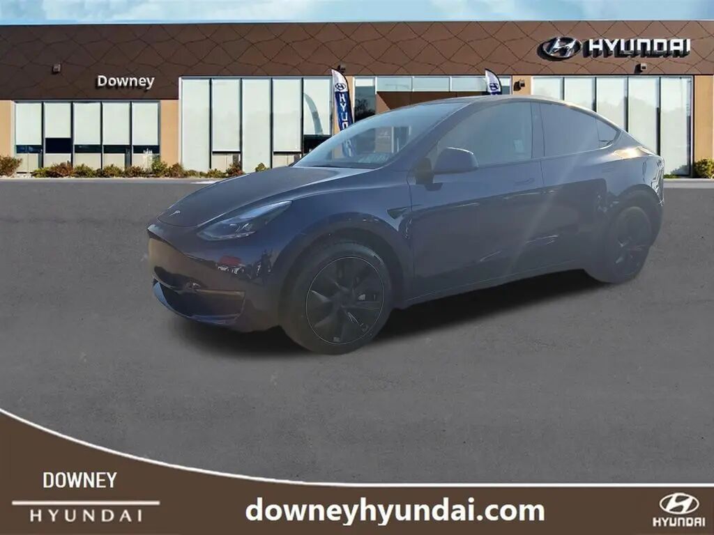 2025 Tesla Model Y Long Range — photo 1 of 1