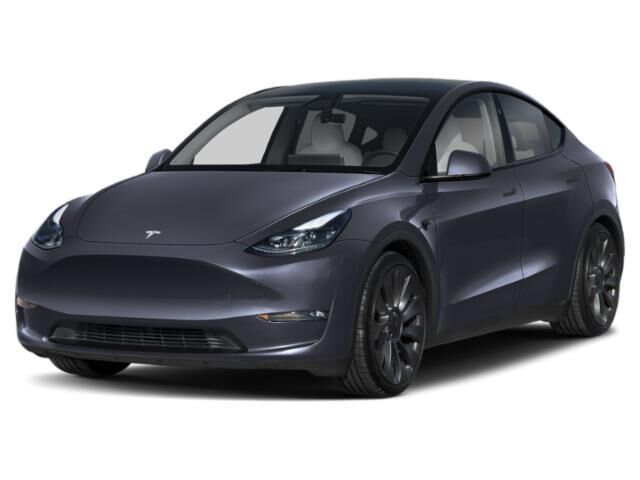 2024 Tesla Model Y Performance — photo 1 of 1