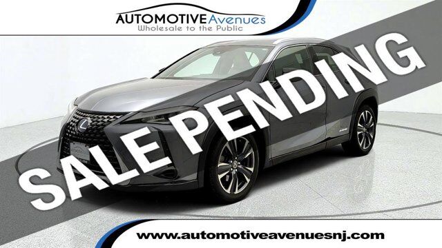 2021 Lexus UX UX 250h