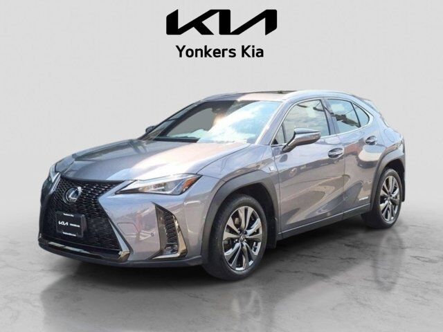 2021 Lexus UX UX 250h F SPORT