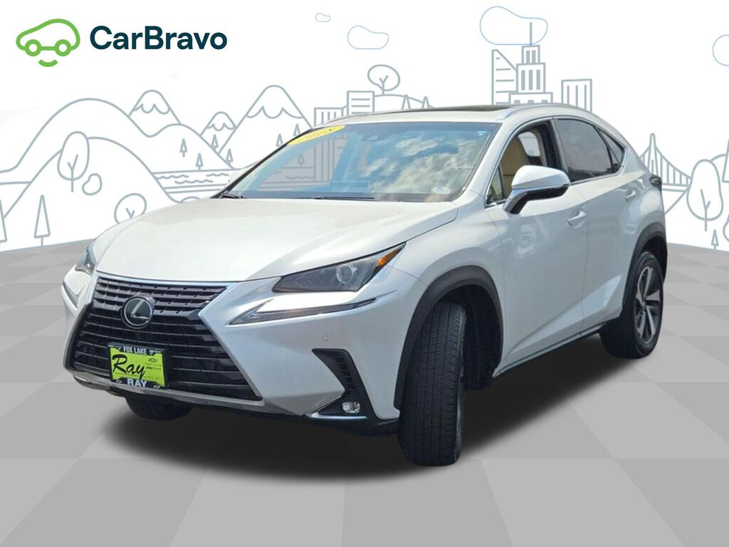 2018 Lexus NX NX 300 — photo 1 of 6