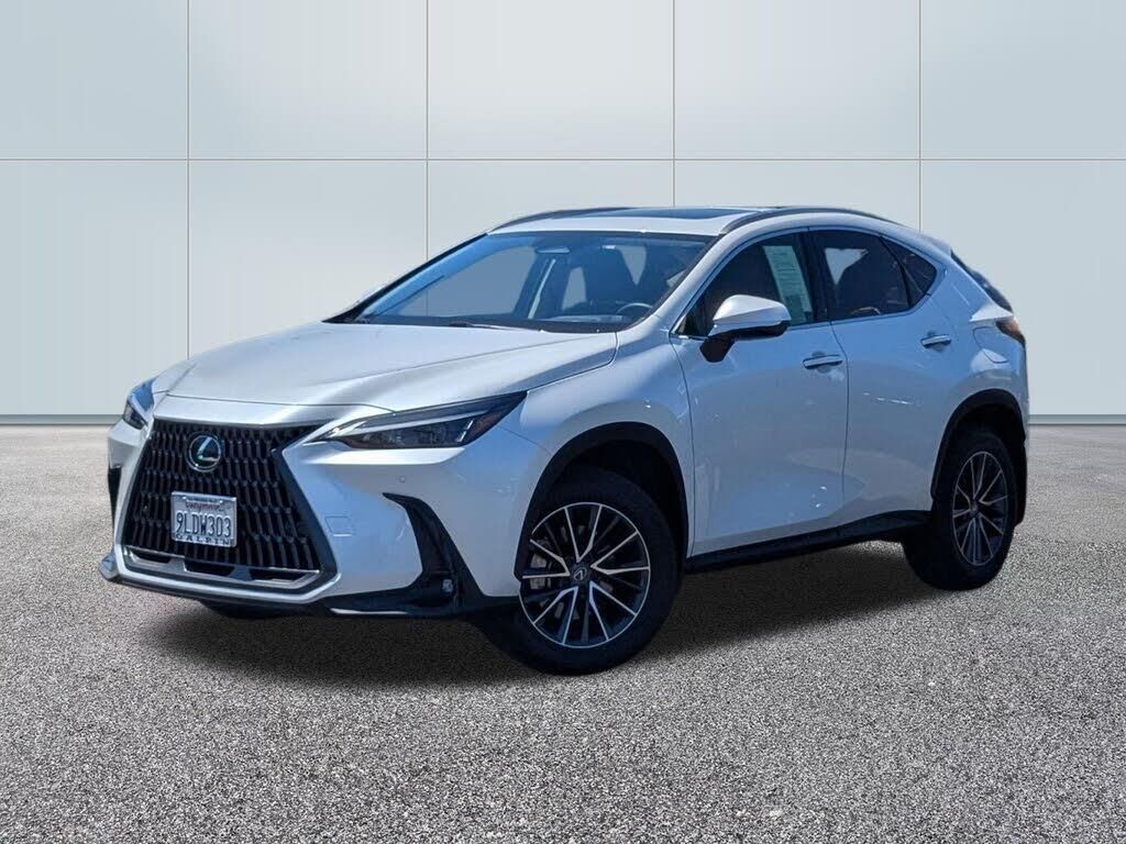 2024 Lexus NX 250 Premium — photo 1 of 1