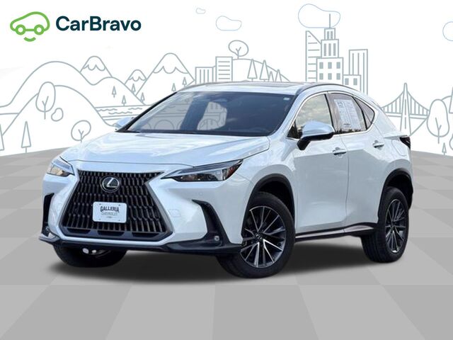2024 Lexus NX Premium
