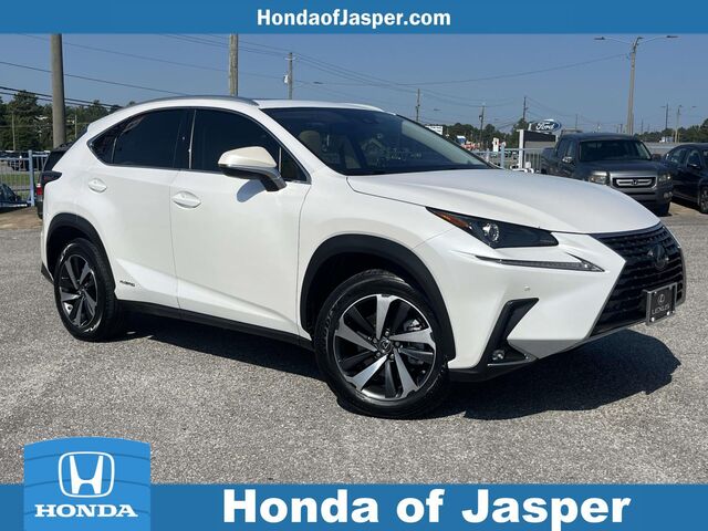 2020 Lexus NX 300h Base