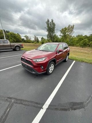 2019 Toyota RAV4 XLE — photo 1 of 13