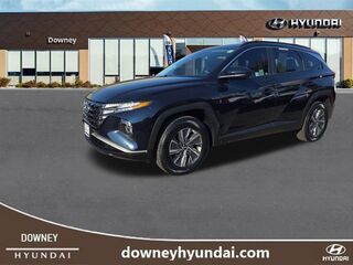 2024 Hyundai Tucson Hybrid Blue
