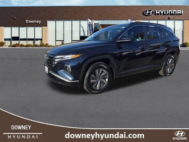 2024 Hyundai Tucson Hybrid Blue — photo 1 of 1