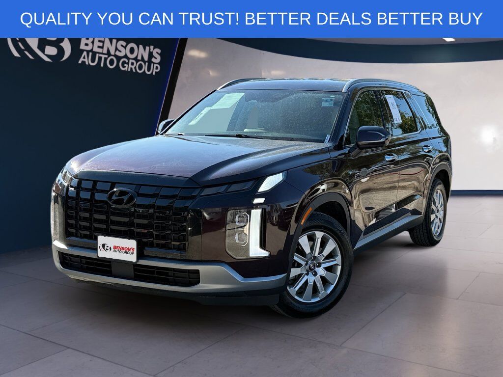 2025 Hyundai Palisade SEL — photo 1 of 13