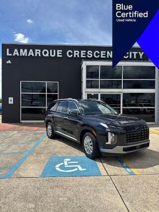 2024 Hyundai PALISADE SEL — photo 1 of 13