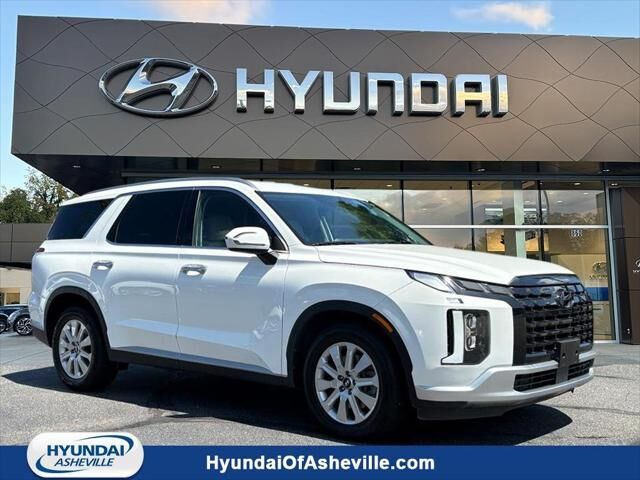 2024 Hyundai PALISADE SEL — photo 1 of 13
