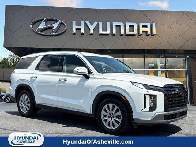 2024 Hyundai PALISADE SEL — photo 1 of 13