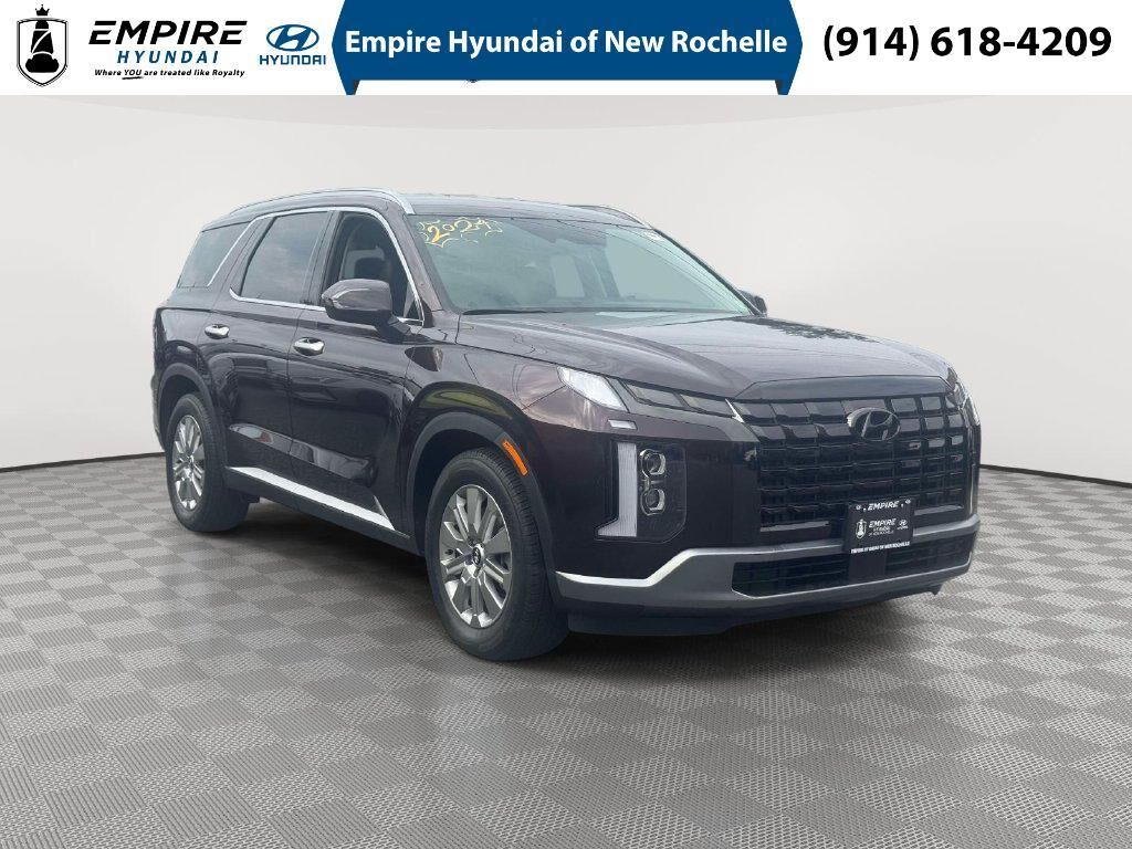 2024 Hyundai PALISADE SEL — photo 1 of 13