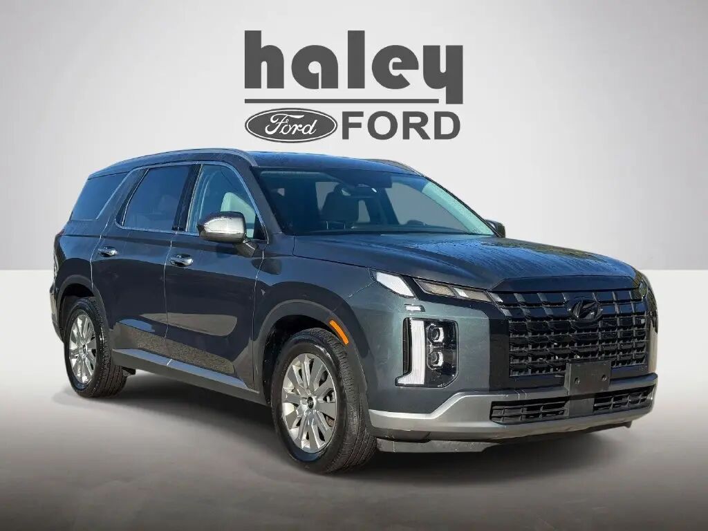 2025 Hyundai PALISADE SEL — photo 1 of 13