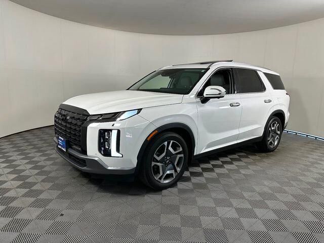 2024 Hyundai PALISADE SEL — photo 1 of 12