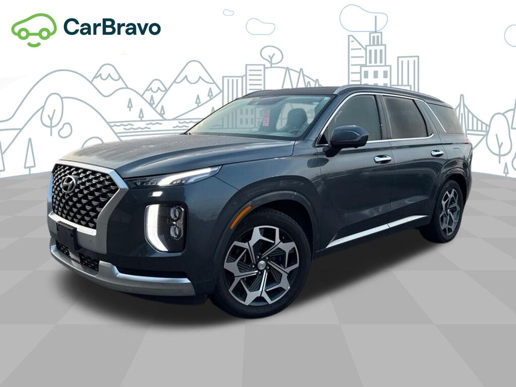 2022 Hyundai Palisade Calligraphy — photo 1 of 6
