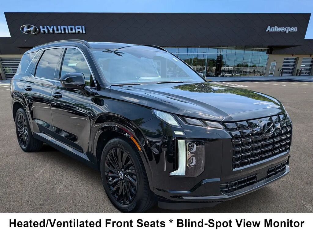 2025 Hyundai PALISADE Calligraphy Night Edition — photo 1 of 13