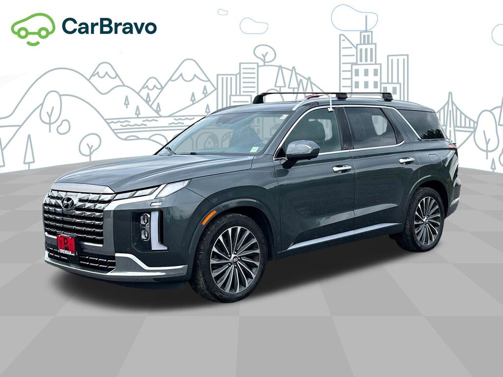 2023 Hyundai Palisade Calligraphy — photo 1 of 7