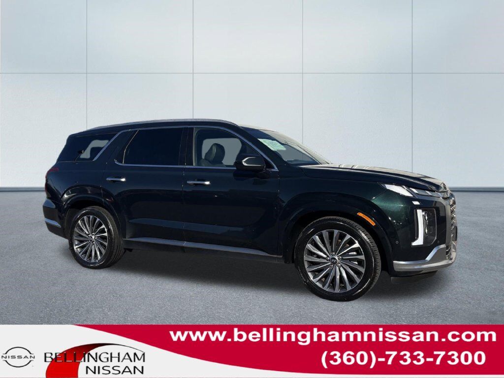 2024 Hyundai Palisade Calligraphy — photo 1 of 13