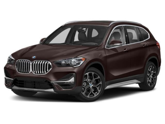 2020 BMW X1 xDrive28i — photo 1 of 13